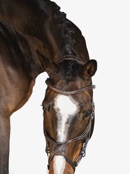 ATHENS BRIDLE BROWN LEATHER - Image 2