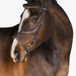 ATHENS BRIDLE BROWN LEATHER