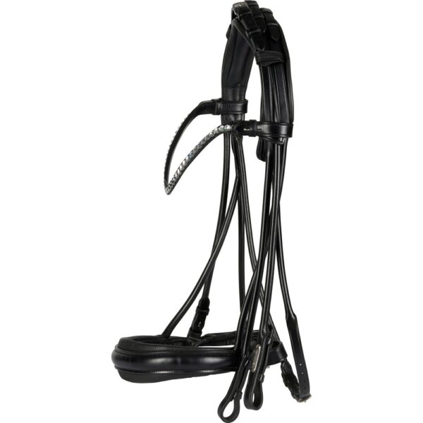 Catago Rolled Double Bridle